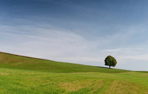 Greens, field, summer, clouds, blue, tree, slope, hill