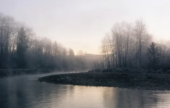 Fog, river, morning