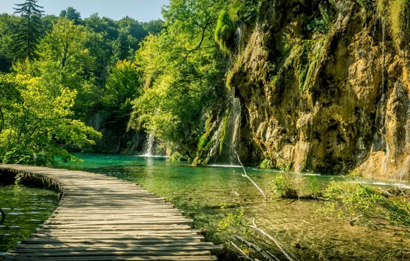 Picture greens, lake, track, Croatia, Plitvice lakes