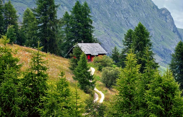 Picture road, forest, trees, mountains, home