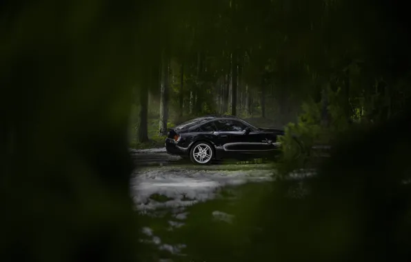 Car, machine, auto, bridge, city, fog, race, bmw