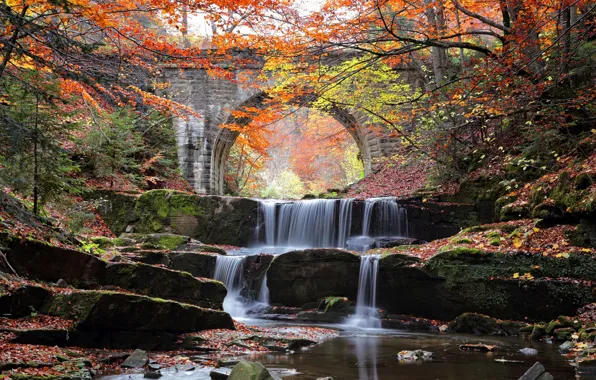 Autumn, water, trees, bridge, river, stones, cascade