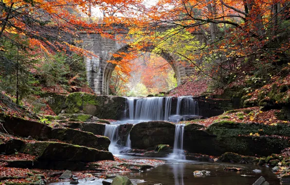 Picture autumn, water, trees, bridge, river, stones, cascade