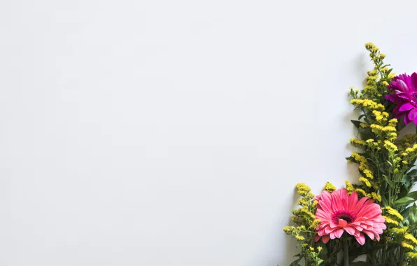 Bouquet, Gerbera, Wild flowers