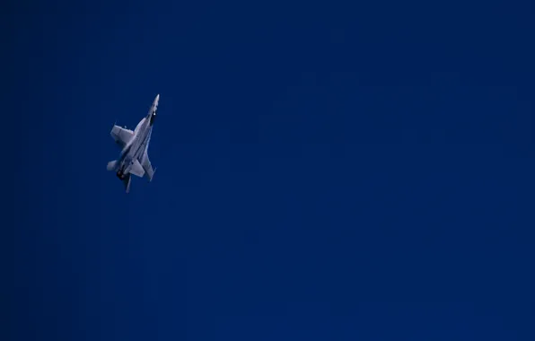 Picture the plane, f/a 18, hornet