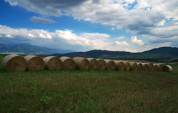 Field, the sky, clouds, mountains, hay, bales, straw, a lot
