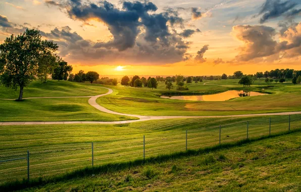 Road, greens, field, the sky, grass, clouds, trees, sunset