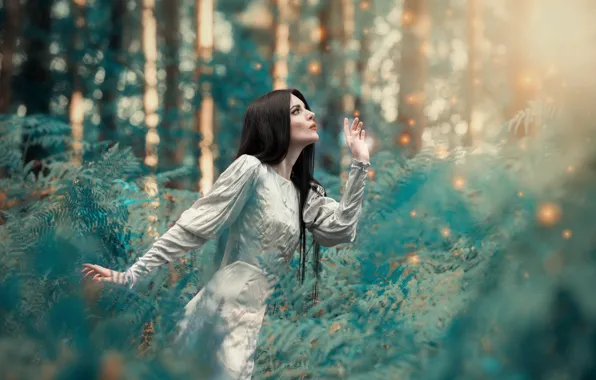 Picture forest, leaves, girl, nature, dress, brunette, Starowicz Anetta