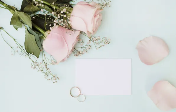 Flowers, roses, bouquet, ring, pink, flowers, roses
