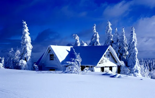 Picture winter, the sky, clouds, snow, trees, tale, ate, house
