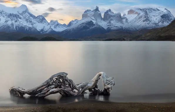Snow, mountains, tops, snag, pond, Andes, Patagonia
