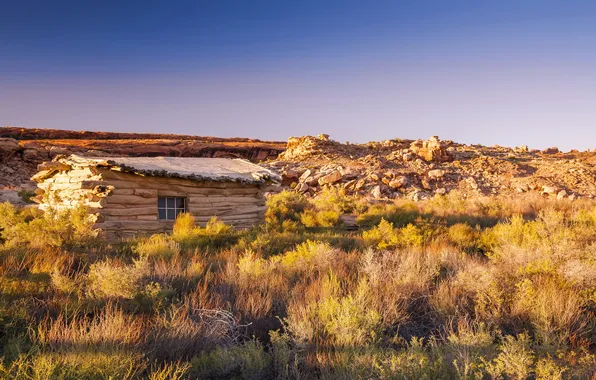 Field, landscape, home