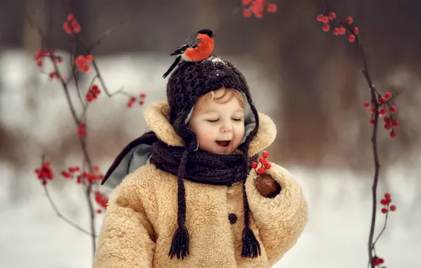 Picture winter, berries, mood, bird, boy, bullfinch, cap, coat