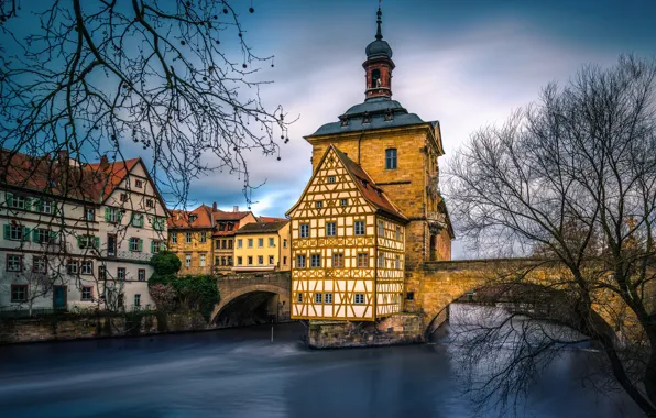 Picture trees, bridge, the city, river, building, Germany, town hall, Bamberg