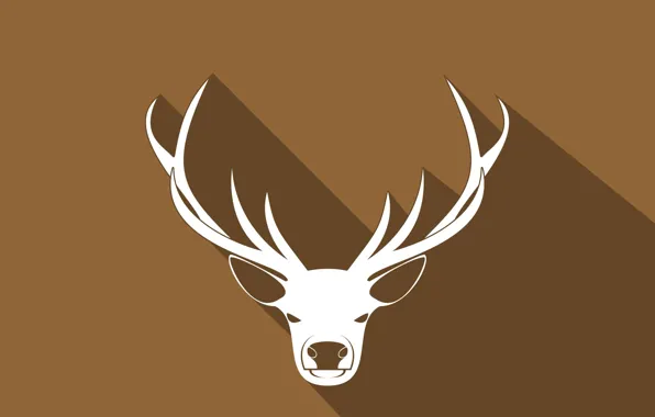 Nature, minimalism, deer, horns, brown