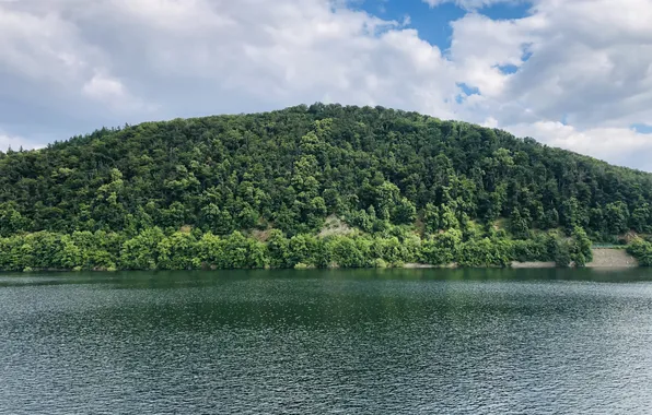 Water, Greens, The sky, Clouds, Lake, Trees, Hill, Beauty