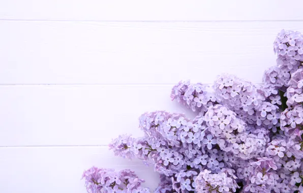 Flowers, background, wood, flowers, lilac, purple, lilac