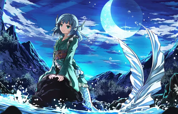 Picture water, girl, squirt, night, the moon, stone, art, tail