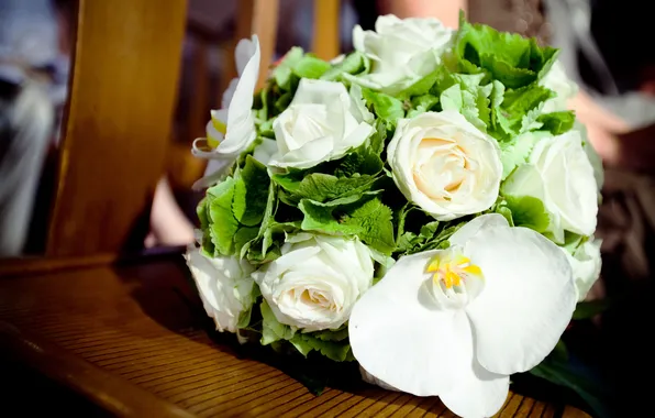 Picture flowers, roses, bouquet, white, Orchid