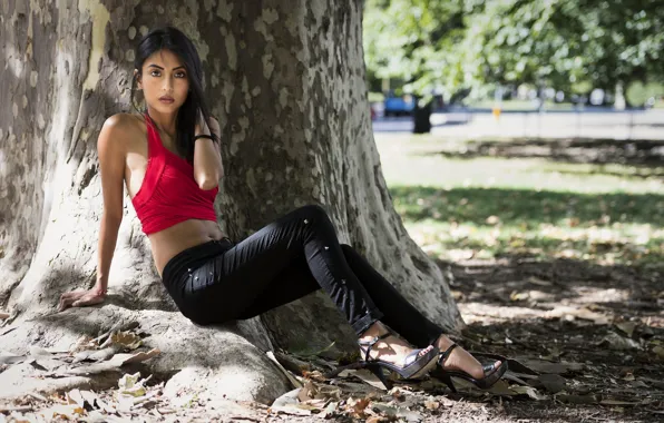 Picture look, trees, face, Park, model, brunette, cutie, Josimar