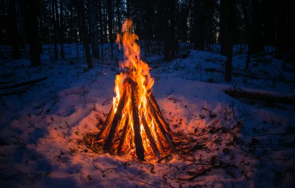Picture winter, forest, snow, loneliness, heat, the fire, Ural, the fire