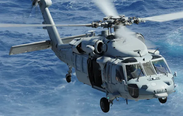 Picture flight, helicopter, multipurpose, "Sea Hawk", Sea Hawk, MH-60S