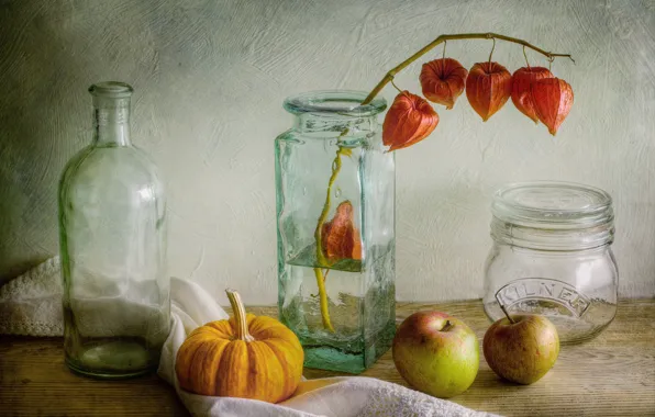 Apples, pumpkin, bottle, still life, physalis