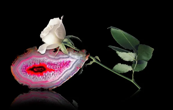 Picture light, rose, flower, shadow, quartz, agate