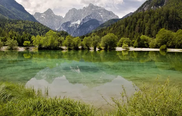 Download Wallpaper Forest Grass Clouds Trees Mountains Lake