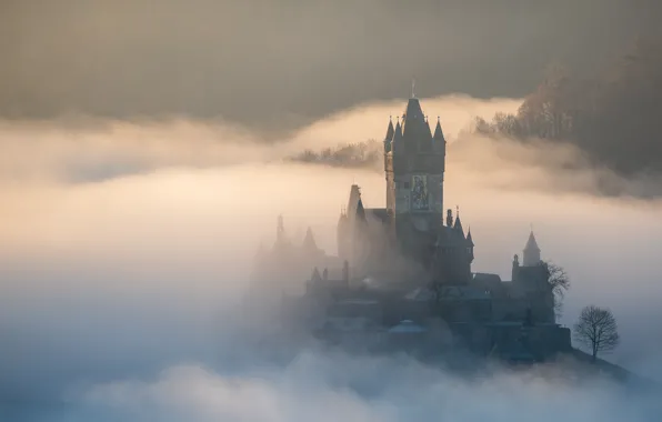 Picture forest, clouds, fog, castle, tower, morning, Germany, haze