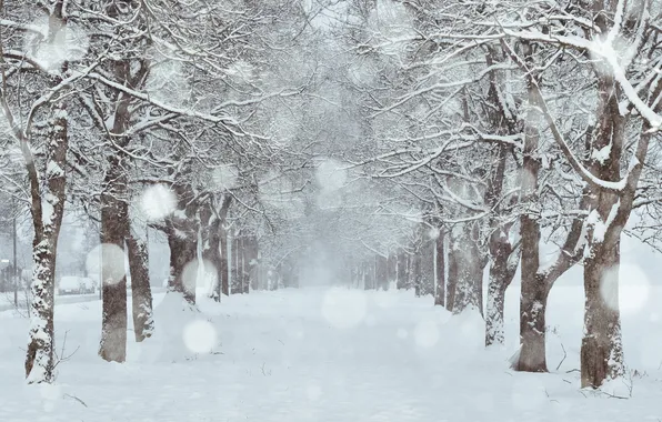 Snow, the city, street