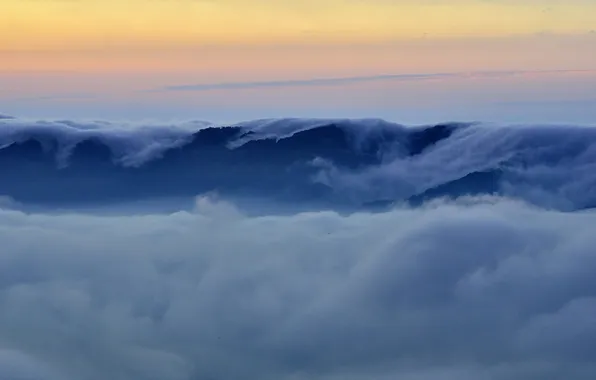 The sky, nature, obloka