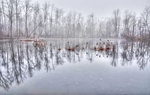 Autumn, nature, lake