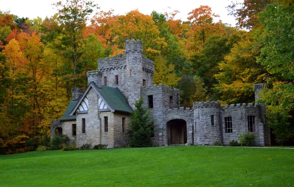 Autumn, forest, grass, trees, castle, glade, USA, Squires Castle