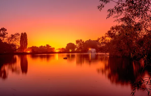 Picture the sky, trees, sunset, lake, pond, Park, fountain