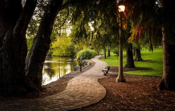 Trees, Park, river, lantern, alley