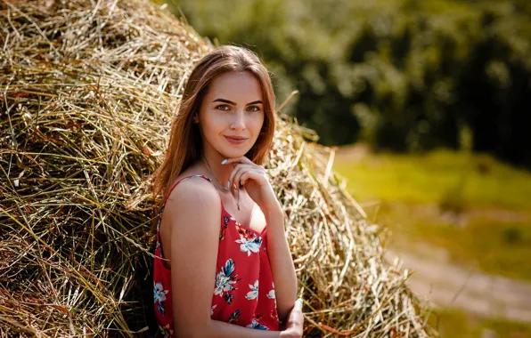Picture look, smile, Girl, hay, Alexey Gilev
