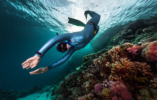 Picture underwater, man, diving