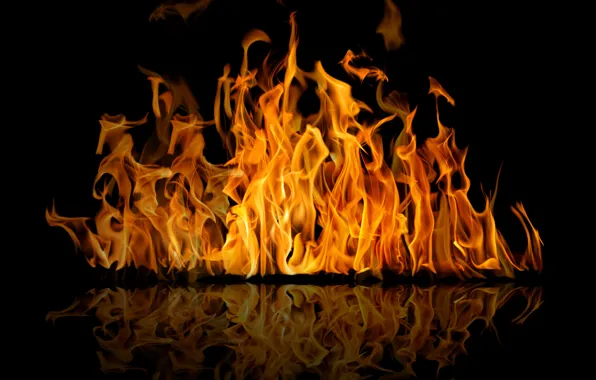 Reflection, background, fire, flame, black, fire, flame, reflection