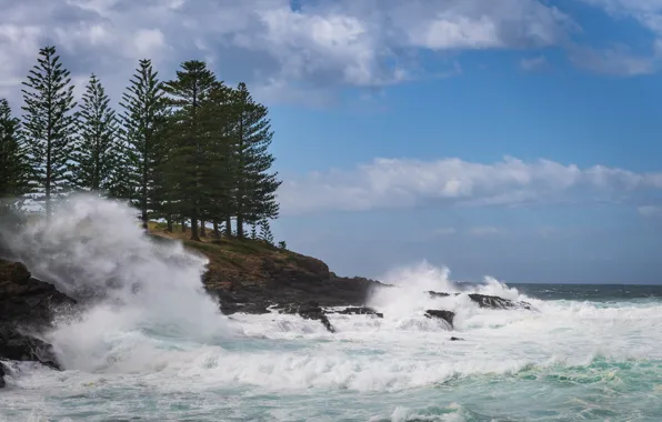 Wave, landscape, rocks, Fleur Walton