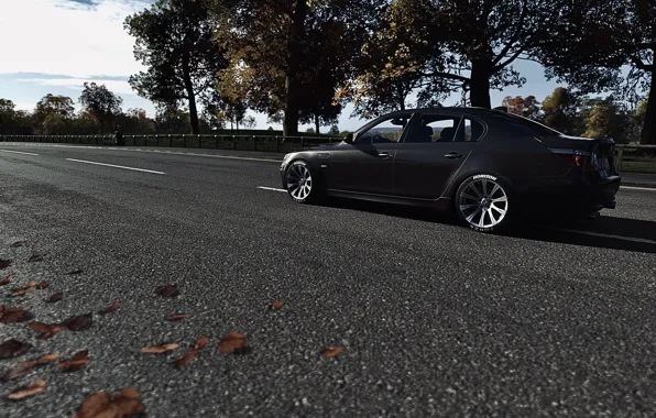 HDR, BMW, Fall, Street, Game, E60, Trees, Leaves