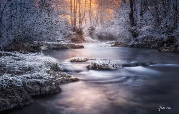 Picture winter, frost, light, snow, trees, nature, river