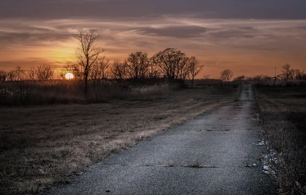 Picture road, field, the sun, Riding off into the sunset
