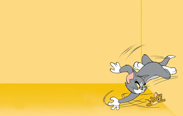 Picture cat, Wallpaper, anger, cartoon, laughter, chase, wallpaper, cat