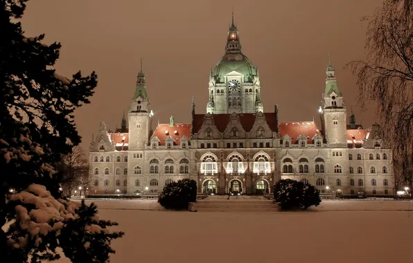 Winter, snow, the city, photo, the building, spruce, Germany, the bushes