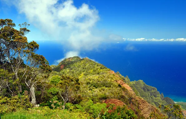 Sea, the sky, clouds, trees, flowers, mountains, nature