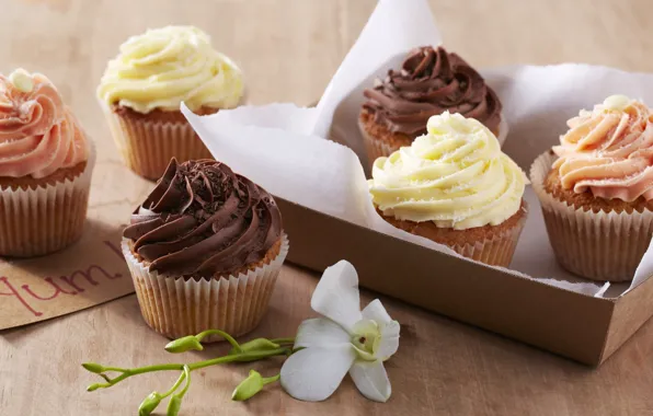 Cream, dessert, muffin