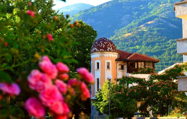 Picture Nature, Mountains, Roses, Nature, Roses, Mountains, Old house, Old house