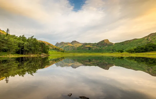 Trees, landscape, mountains, lake