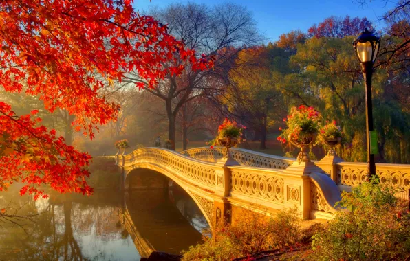 Picture autumn, the sun, trees, flowers, bridge, fog, Park, morning